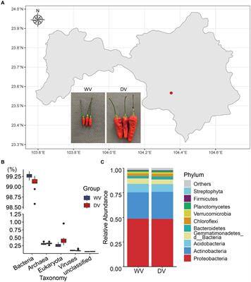 Differential effects of domesticated and wild Capsicum frutescens L. on microbial community assembly and metabolic functions in rhizosphere soil